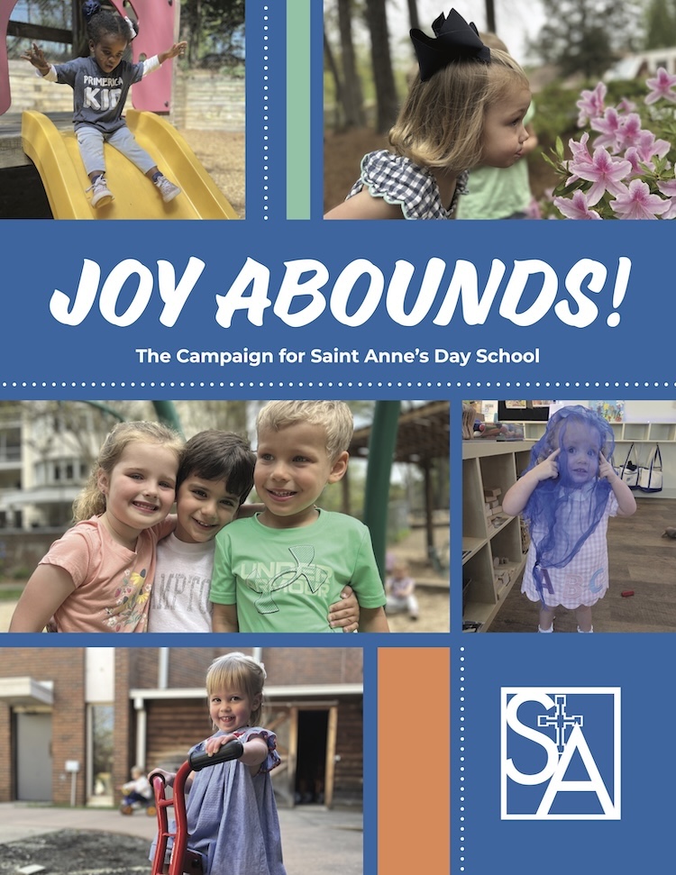 cover image for Campaign Case for Support publication