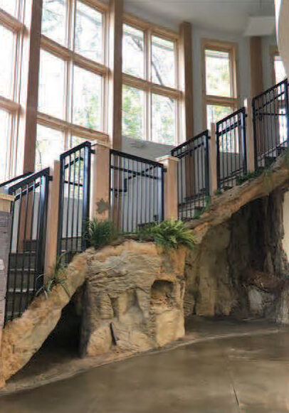 staircase inside of a circular structure like a treehouse